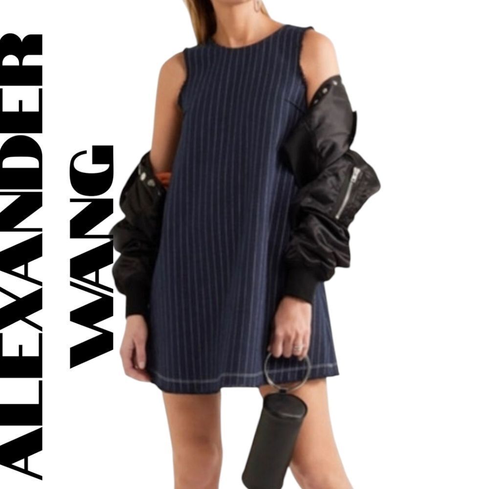 Alexander Wang Textured Pinstripe Dress S